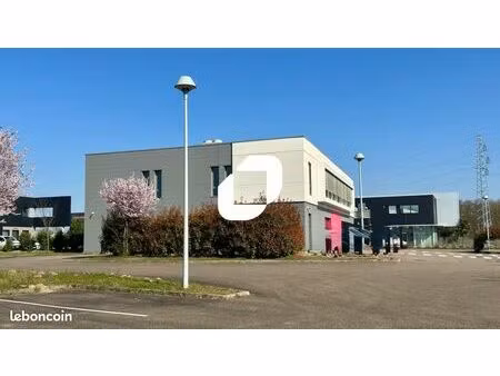 bureaux 147 m²