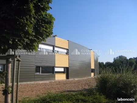 local 450 m²