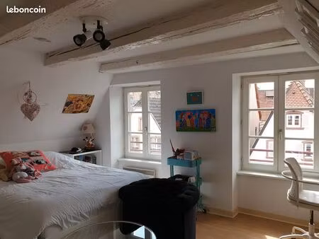 saverne centre ville – grand duplex 114 m² – 5 pièces – 3 chambres