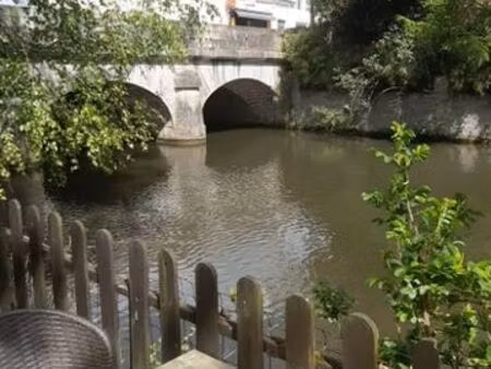 location local commercial connerré