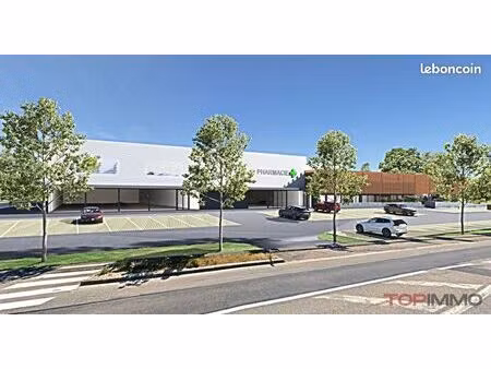 local 1201 m² dannemarie