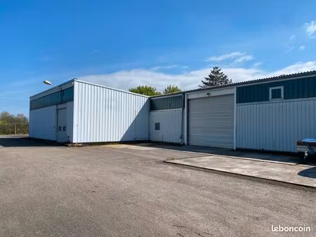 local activité 2000m2 strasbourg sud