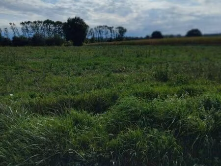 terrain agricole