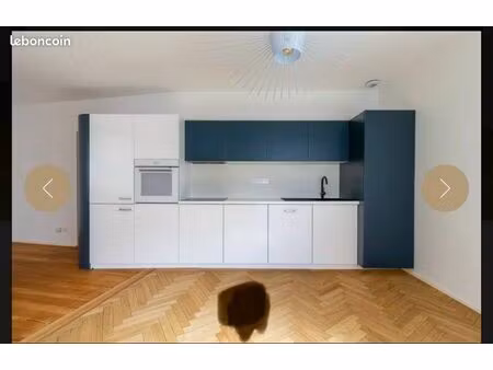 magnifique f3 centre ville colocation acceptée