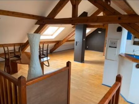 grand studio parc salvator