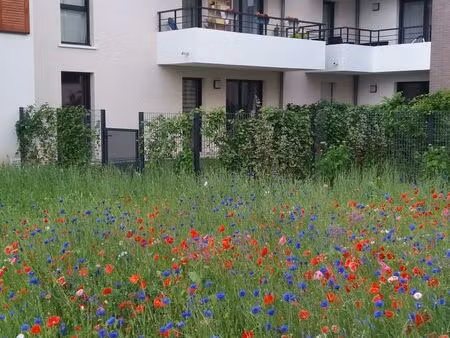 appartement 3 pièces louveciennes