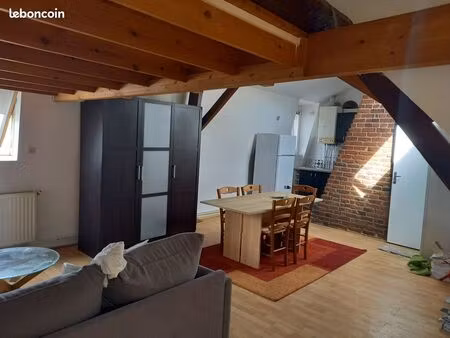 charmant studio sous comble face au tram