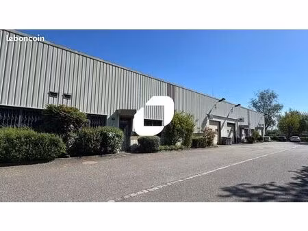 local bureaux 320 m²