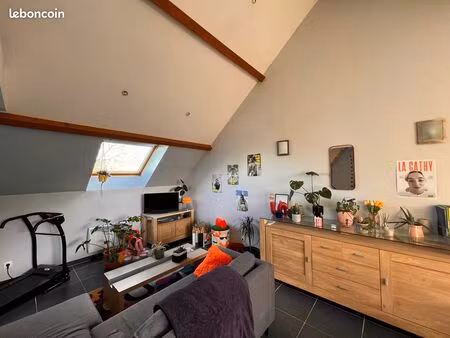 appartement 2 pièces 40m2