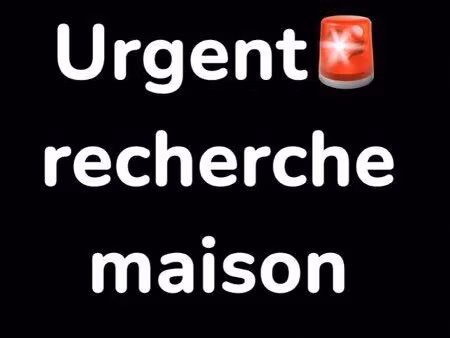 recherche maison urgent
