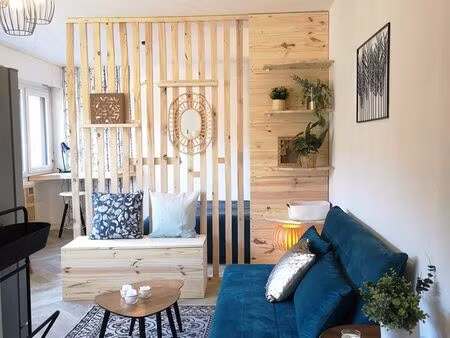 superbe appartement lumineux entièrement rénové de 31 m² avec parking - sud