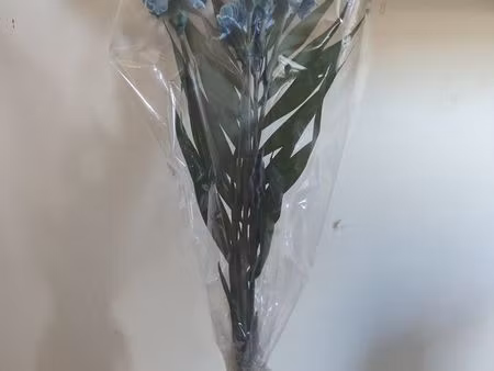 couple cherche t2 sur lyon