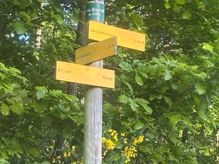 location parcelle nature - civrieux-d’azergues (bois granval)