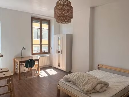 location appartement villeurbanne - quartier gratte-ciel