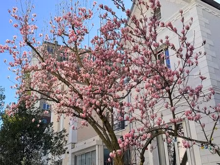 maison dans une villa d’auteuil