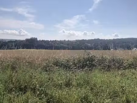 terrain 2330 m² le tremblay-sur-mauldre