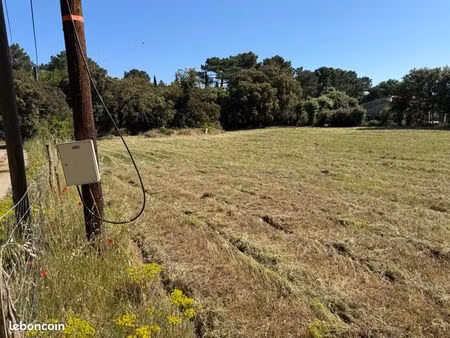 terrain constructible