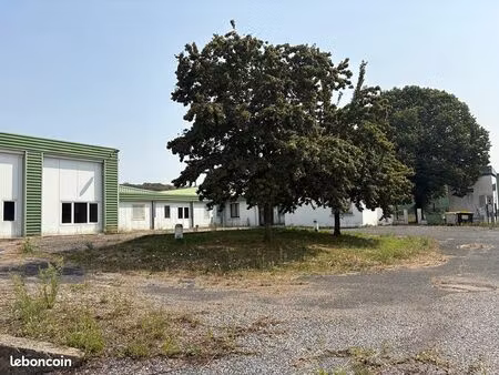local 3000 m² carmaux