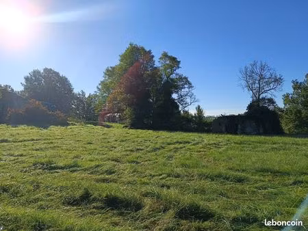 terrain 9582 m² montdurausse