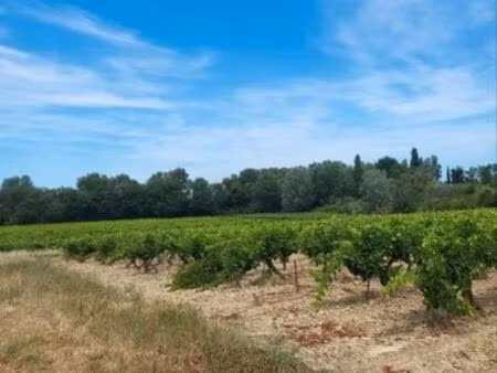 terrain agricole