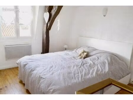 duplex de charme en hypercentre