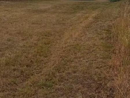 terrain à bâtir
