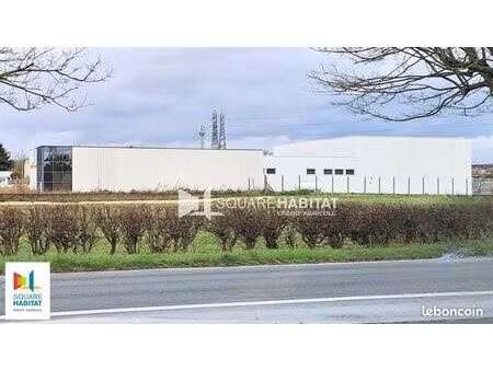local d'activité 1 439 m²