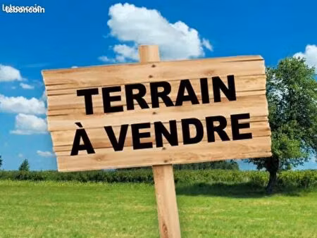 terrain constructible