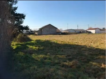 terrain constructible