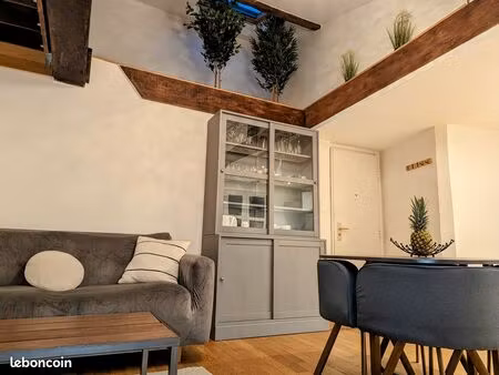 appartement de charme en duplex (46m2 loi carrez et 73m2 au sol) en plein coeur du quartie