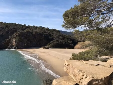 recherche local commercial ou professionnel pour activité développée