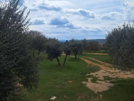 échange terrain constructible contre maisonette ou cabanon