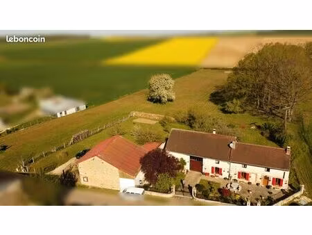 magnifique propriété avec maison en pierre rénovée  grange  terrain 1 7 hectare et étang