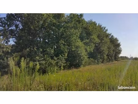 terrain constructible avec permis sur la commune de grisolles