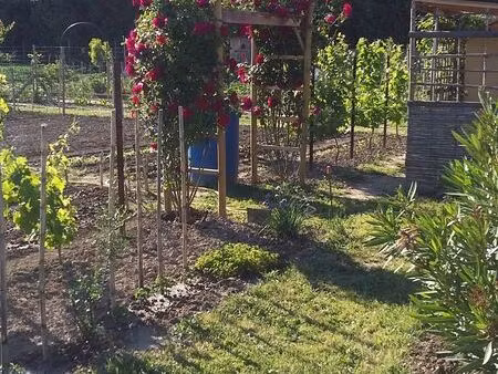 cavaillon : location jardin potager clos et sécurisé