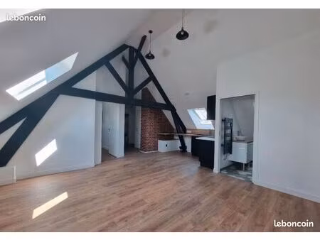 centre roye 2 pièces 60m2 au sol