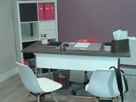 mur commercial ou professionnel avec sortie terrasse jardin dans le quartier de l'albinque