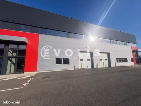 local d'activité 977 m²