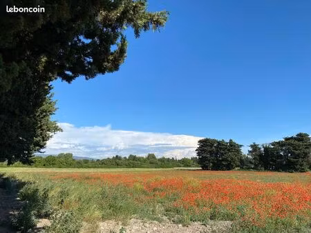 terrain agricole ou loisirs