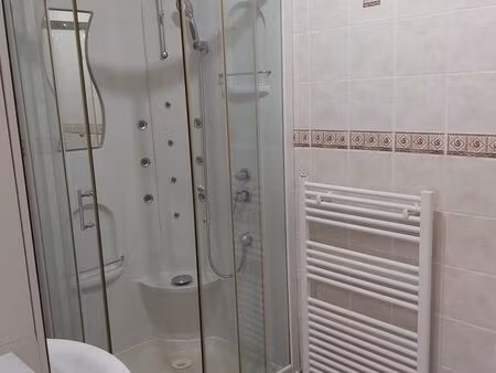 appartement f2 (60m2) +garage sous-sol centre ville