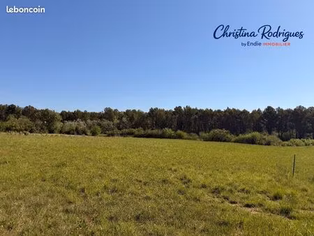 terrain 2633 m² salernes