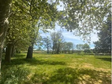 terrain nu pour chevaux ou moutons