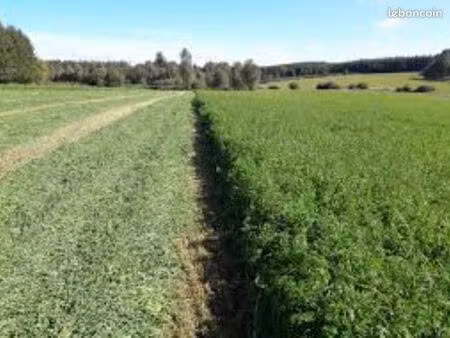 prête 10ha terre agricole graulhet éleveur animaux bovin caprin ovin luzerne sainfoin trèf