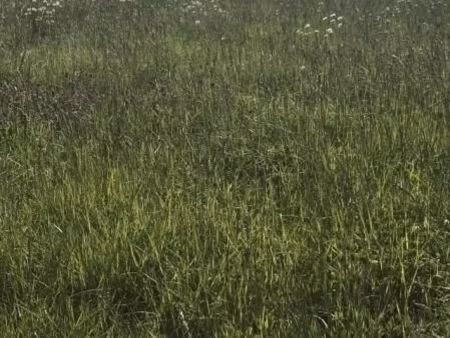 terrain 770 m² saint cyr des gats