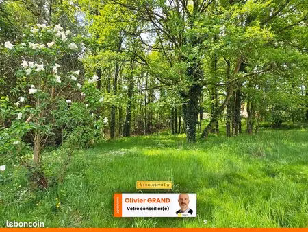 terrain 6 365 m² saint junien