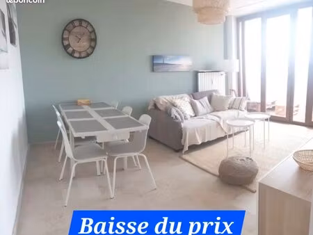 appartement . 56m2 . 3 pieces