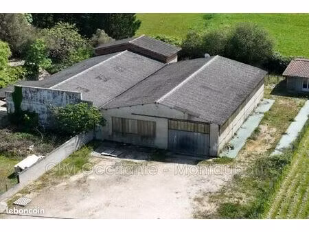 local industriel 450 m²