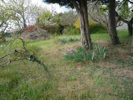 location terrain 5000 m²