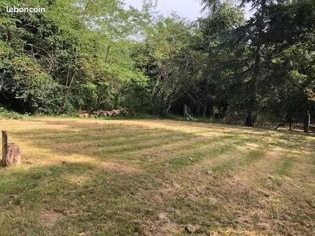 immeuble avec travaux