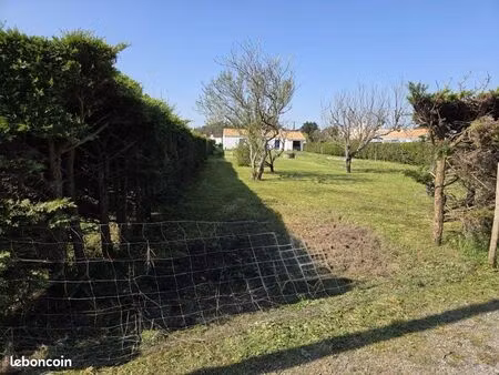 terrain constructible